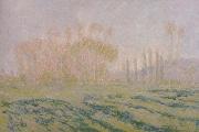 Claude Monet Meadow with Poplars Spain oil painting artist